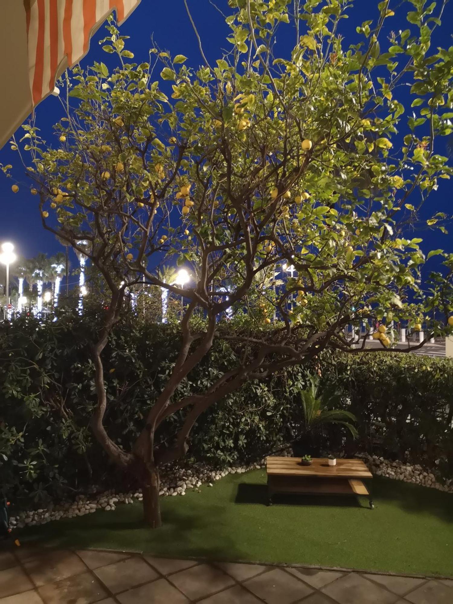 Garden Atlantide Promenade Lägenhet Nice Exteriör bild