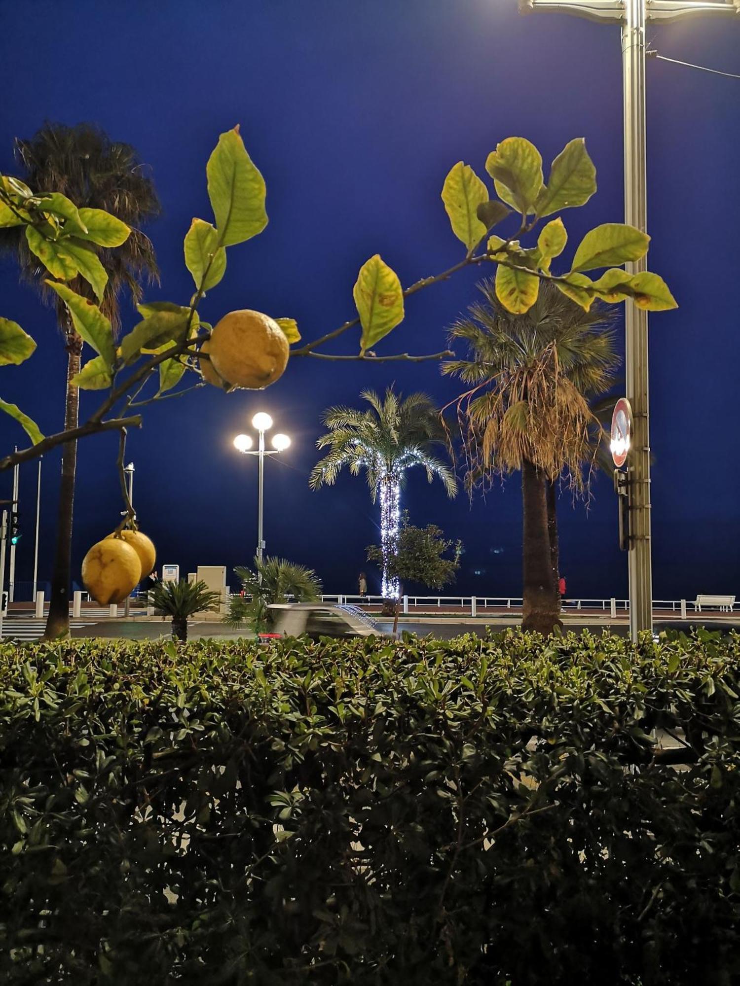Garden Atlantide Promenade Lägenhet Nice Exteriör bild