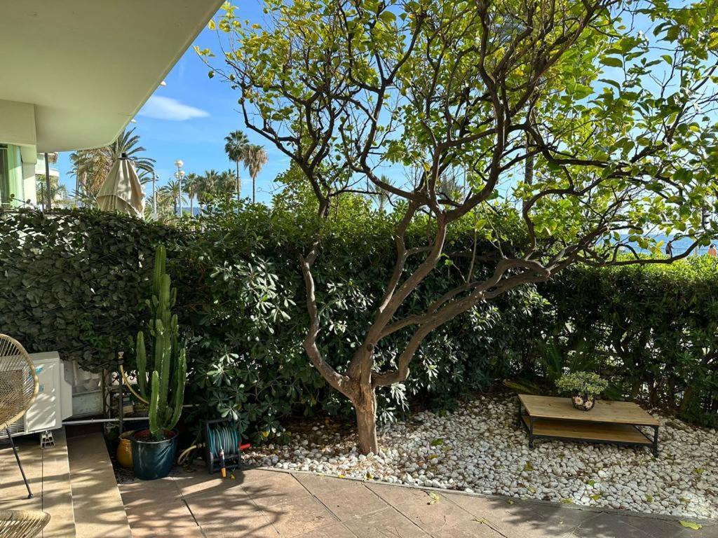 Garden Atlantide Promenade Lägenhet Nice Exteriör bild
