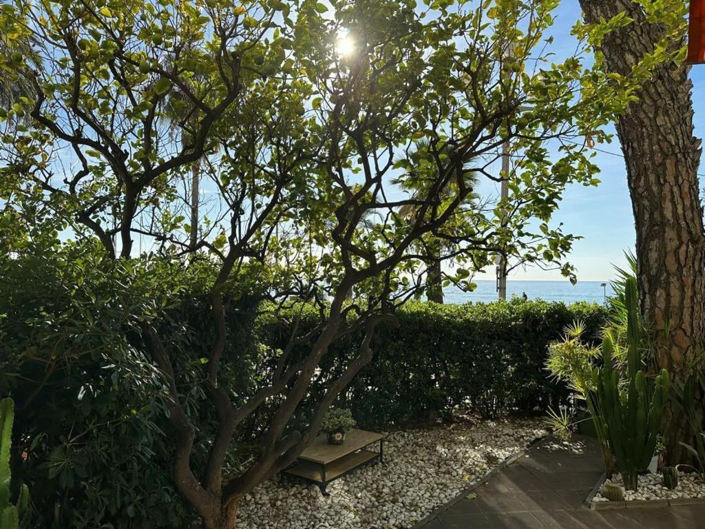 Garden Atlantide Promenade Lägenhet Nice Exteriör bild