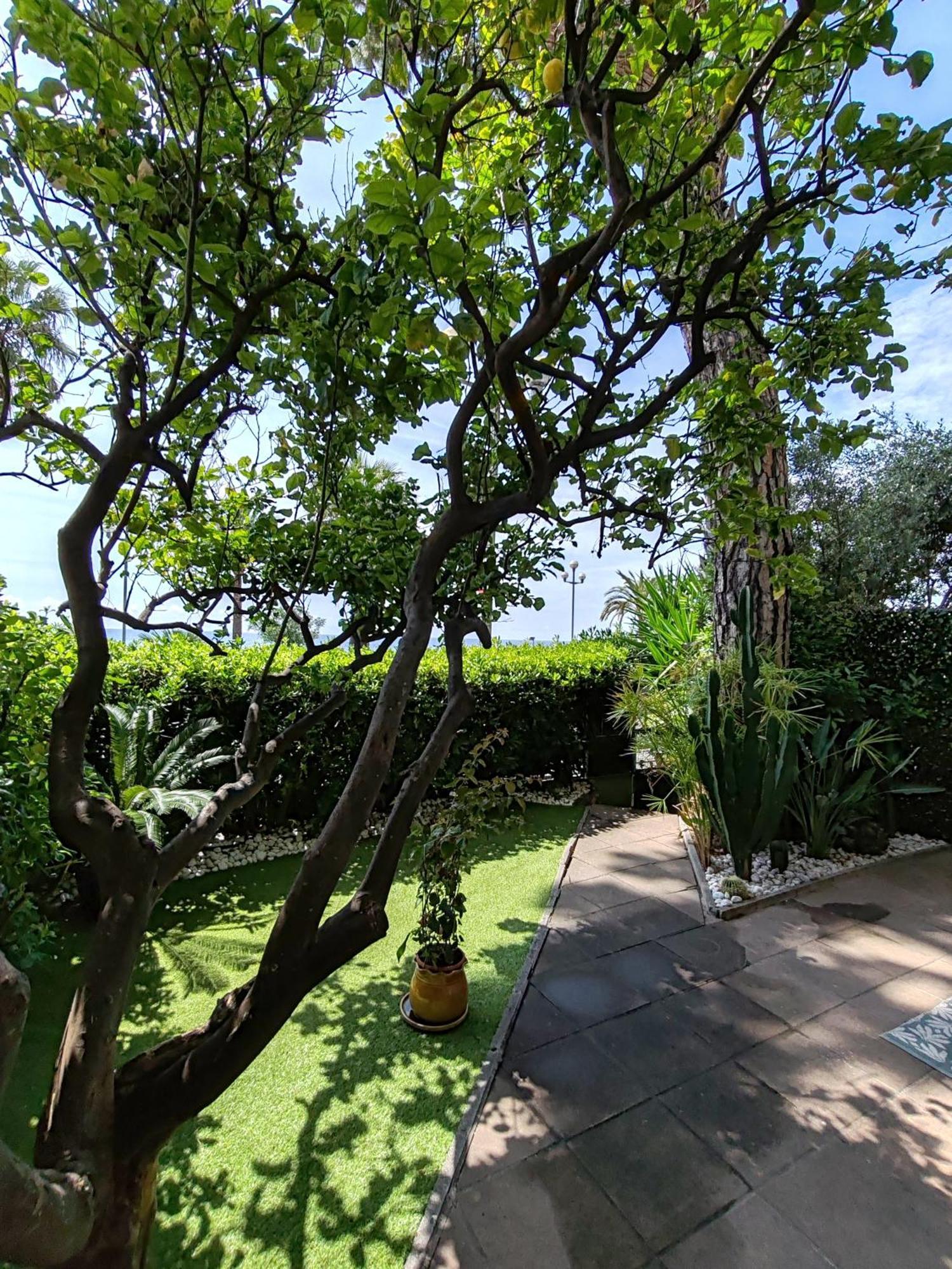 Garden Atlantide Promenade Lägenhet Nice Exteriör bild